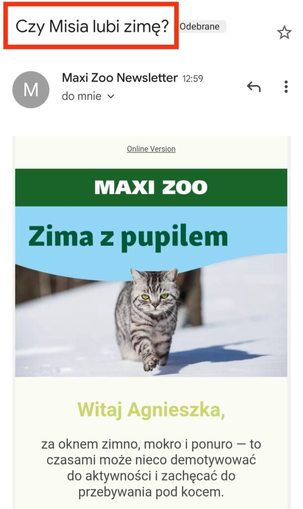 Newsletter Maxi Zoo