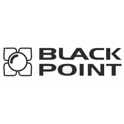 logo black point